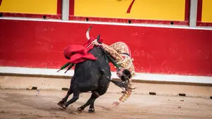 De la impactante cogida a la 'coronación' de Roca Rey: así ha sido la corrida del 7 de julio
