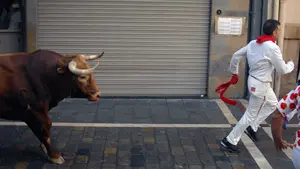 Estos son los toros de San Fermín 2017: debuta Puerto de San Lorenzo y Cebada Gago cumple 30 años en la Feria del Toro