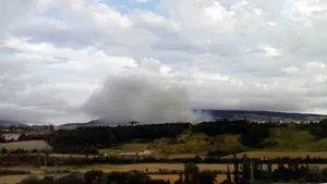 Sofocado un incendio en las proximidades de Zizur en un campo sin cosechar