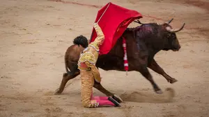 Los muletazos de rodillas que han puesto en pie a la plaza: la quinta corrida de San Fermín