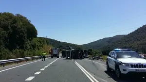 Arde un camión volcado que cierra la 121-A en Olagüe y provoca un incendio en el monte