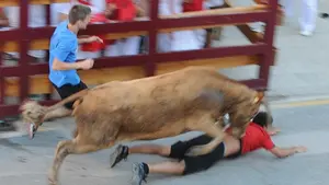 Susto en el encierro de vaquillas de las fiestas de la juventud de Caparroso