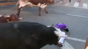 Doble segundo encierro de Tudela con toros de Miura y Dolores Aguirre