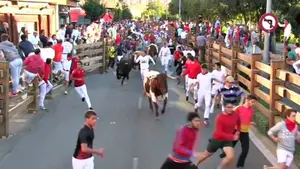 ¡Como las balas! Así han pasado los toros de Merino en el cuarto encierro de las fiestas de Tudela