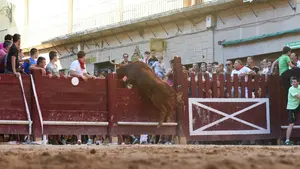 Una vaca salta el vallado y escapa a la calle en Puente la Reina: tres trasladados y decenas de contusionados