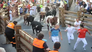 Los toros de Rosa Rodríguez vuelan sobre el asfalto de Tudela para cerrar los encierros de las fiestas