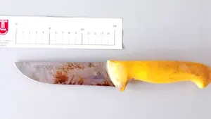 Un jornalero amenaza con un cuchillo al patrón para el que trabaja en Cadreita y acaba detenido