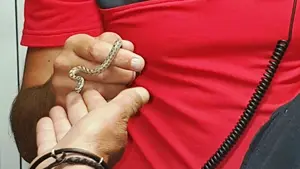 Capturada una serpiente viva bajo el lavavajillas de una vivienda de Beriáin