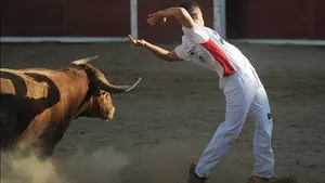 Las imágenes del concurso de recortes en Estella, con un herido grave por cornada