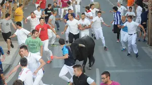 Dos toros sueltos llevan la emoción y el riesgo al primer encierro de las fiestas de Tafalla