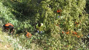 La impresionante caída al vacío de una espectadora durante el encierro del Pilón de Falces