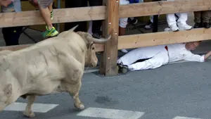 Pánico en Tafalla: los dos toros rezagados que han llenado de terror el primer encierro