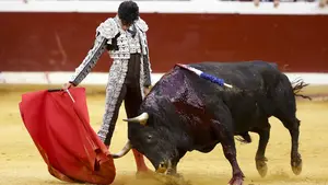 Anulan la prohibición de celebrar corridas de toros del anterior gobierno de Bildu en San Sebastián