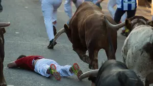 Las caídas y un montón, protagonistas del cuarto encierro de Tafalla