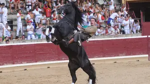 Las imágenes del espectáculo de la corrida de rejones en Tafalla