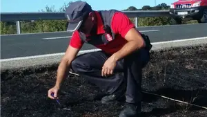 Una colilla arrojada desde un vehículo, posible causante del incendio forestal en Tafalla