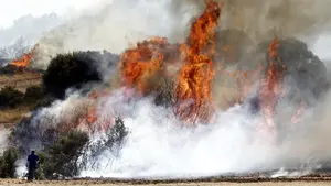 Las impactantes imágenes del incendio desatado entre Pueyo y Tafalla