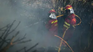 El cuatripartito "veta" una comparecencia para que dos bomberos expliquen el protocolo seguido en el incendio de Tafalla