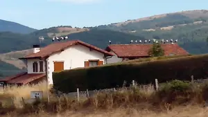 30 cigüeñas se ven obligadas a desplazarse a Olóndriz tras el incendio de Tafalla