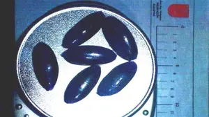 Detenido en Bera por esconder 6 huevas de hachís mientras viaja en un coche en el que el conductor va drogado