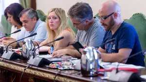 El PSN arremete contra Aranzadi por su ausencia en el desfile de la Unión: "Hacen una lectura interesada de la democracia"