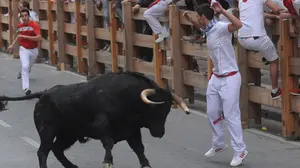 El novillo de 'El Pincha' que se ha fugado de la manada y ha barrido el encierro de Peralta