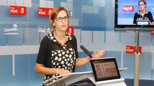 Chivite asegura que el PSN seguirá en la oposición y apela a Barkos para que salga de la inacción cuanto antes