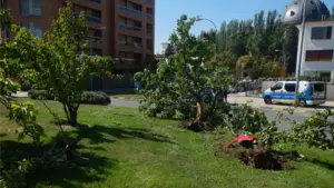 Se estrella contra 3 árboles y una señal al conducir borracho por la rotonda del Tenis de Pamplona