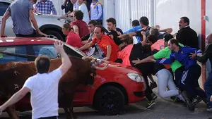 El último toro ensogado del fin de semana de las Angustias hace trabajar a los corredores para evitar graves daños