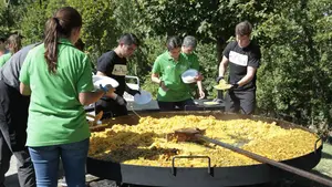 Resumen del Día del Deporte de la Universidad de Navarra 2015