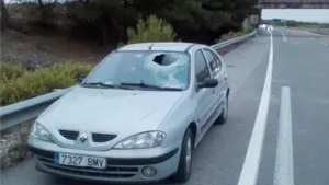 Una piedra de 15 kilos se desprende de un puente de Castejón, atraviesa la luna de un coche y hiere a su conductor