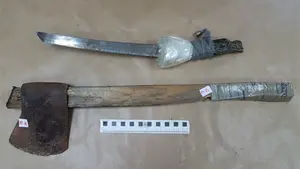 En prisión un pamplonés por maltratar a su novia de 16 años y asestar a su vecino varios hachazos en la cabeza y el cuello