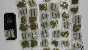 Detenidos dos jóvenes de 18 y 20 años en la Rochapea por vender droga a menores en una vivienda