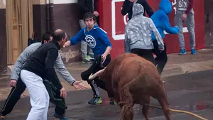 La lluvia no amedrenta a los aficionados del toro ensogado: calles llenas en Lodosa en el &uacute;ltimo festejo