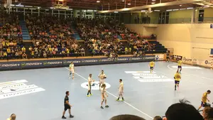 Resumen del partido de la liga asobal Bidasoa - Helvetia (23-23)