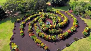 Apadrina un arbusto: el Ayuntamiento de Pamplona y el Planetario invitan a participar en 'El Jardín de la Galaxia'