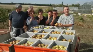 La UPNA recoge más de 5 mil kilos de fruta a través de la empresa Elkarkide para donarlos al Banco de Alimentos
