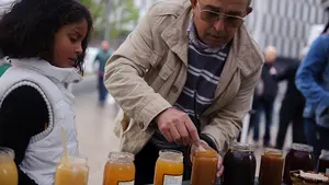 Los apicultores de Navarra endulzan un lluvioso sábado en Pamplona: las imágenes del Día de la Miel
