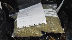 Condenado un vecino de Orkoien a 6 años de cárcel por tráfico de cannabis y anfetaminas