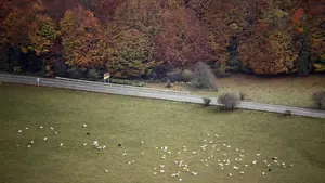 Navarra se encuentra a la cabeza de España en la certificación forestal sostenible de sus bosques