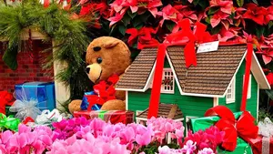 La Navidad generará en Navarra casi 5.000 nuevas contrataciones, la mejor cifra de la Comunidad foral