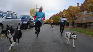 Atletas y perros corren con un único objetivo: ayudar a las personas con autismo en Navarra