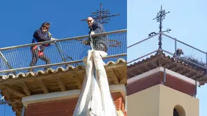 Retirado un nido de cigüeñas de más de 200 kilos de una guardería de Corella por la caída de ramas