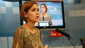 El PSN presenta 125 enmiendas a los presupuestos de Navarra para 2017 y emplaza a Barkos al diálogo