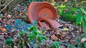 Juzgan al etarra José Ignacio Guridi por la colocación en 2000 de una maceta bomba en una localidad navarra