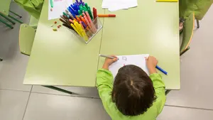 Maltrato al inglés: PPN critica el escaso margen que el Gobierno foral concede a los centros que quieren adherirse al PAI