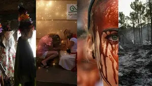 Descubre aquí las cuatro fotografías tomadas en Navarra que han sido elegidas entre las 33 más impactantes de este 2016