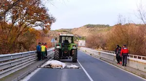 Un jinete de 37 años herido grave y su caballo muerto tras ser atropellados por una cosechadora en Carcastillo