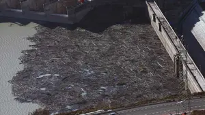 Un 'mar' de madera en el embalse de Yesa: el mal tiempo arrastra hasta la presa navarra cientos de restos de árboles