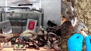 Descubiertos los envenenadores de animales de Gallipienzo con un arsenal de artilugios para matar animales de forma lenta y dolorosa